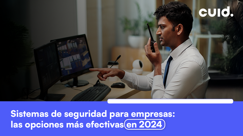 Sistemas de seguridad para empresas: las opciones más efectivas en 2025